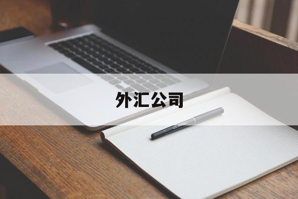 外汇公司(外汇公司是做什么的)